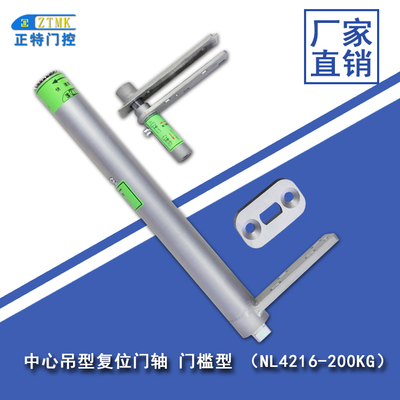 中心吊型复位门轴-200KG