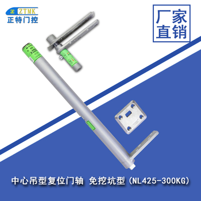 中心吊型复位门轴-300KG